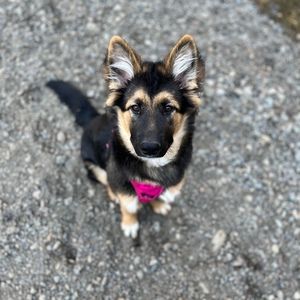 Meet your Posher, Andrea